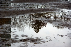 reflection