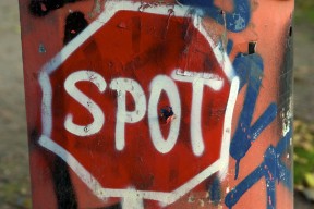 Spot