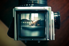 through the viewfinder of Kiev88