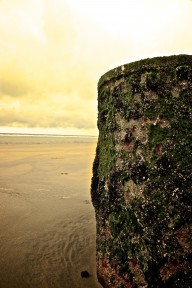 Barrel / French Westcoast