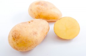 food shot "potato" / stock image