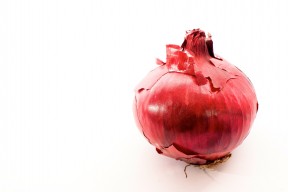 food shot "red onion" / stock image