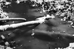 icelake