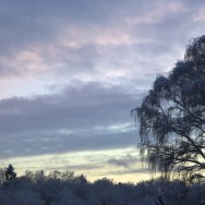 wintery sky