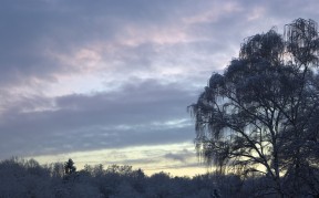wintery sky